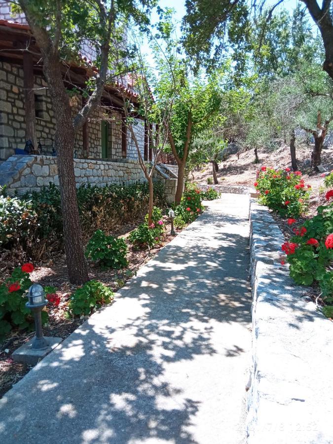 Villas Guest House バティ エクステリア 写真